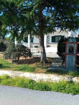 Μονοκατοικία 45 τ.μ. για πώληση