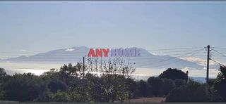 Αγροτεμάχια 4.100 τ.μ. για πώληση
