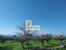 Οικόπεδο 5.028τ.μ. για πώληση-Λεύκτρος » Νεοχώρι