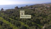 Οικόπεδο 2.017τ.μ. για πώληση-Λεύκτρος » Άγιος νικόλαος