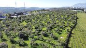 Land plot 41.683sqm for sale-Heraclion Cretes » Giofirakia