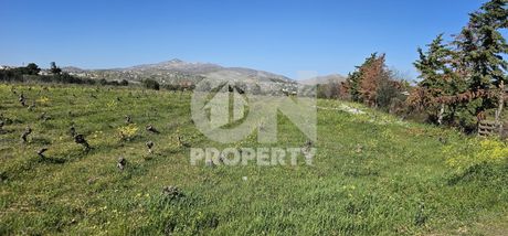 Αγροτεμάχια 6.100τ.μ. για πώληση-Παιανία » Αργιθέα
