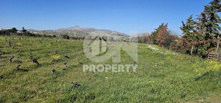 Parcel 6.100 sqm for sale, Athens - East, Paiania