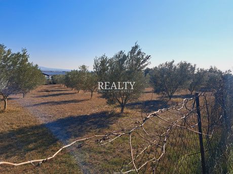 Οικόπεδο 6.683τ.μ. για πώληση-Θέρμη » Καρδιά