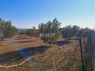 Οικόπεδο 6.683 τ.μ. για πώληση