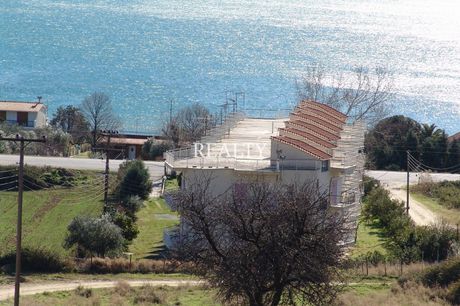 Οικόπεδο 6.500τ.μ. για πώληση-Αμφίπολη » Νέα κερδύλια