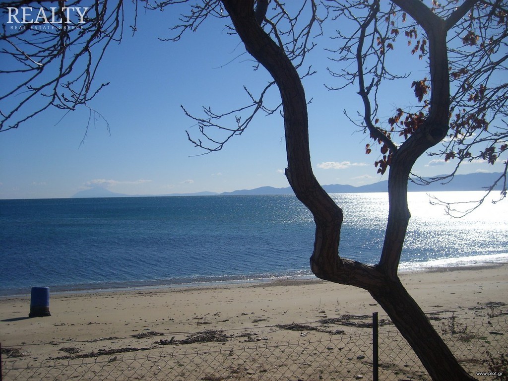 Οικόπεδο 6.500 τ.μ. πρός πώληση, Ν. Σερρών, Αμφίπολη