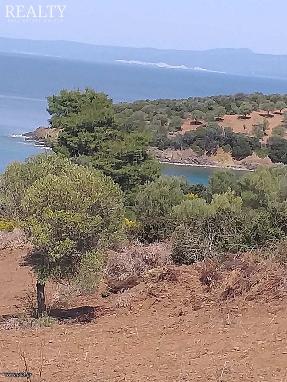 Οικόπεδο 8.000 τ.μ. προς πώληση, Παλιούρι Παλλήνης