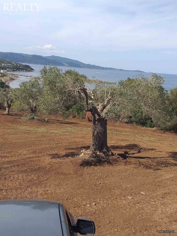 Οικόπεδο 8.000 τ.μ. προς πώληση, Παλιούρι Παλλήνης