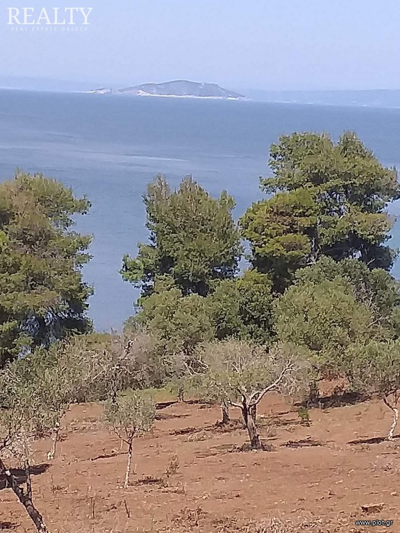 Οικόπεδο 8.000 τ.μ. προς πώληση, Παλιούρι Παλλήνης