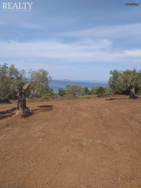 Οικόπεδο 8.000 τ.μ. προς πώληση, Παλιούρι Παλλήνης