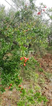 Land plot 5.000.000 sqm for sale