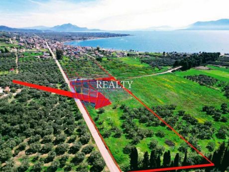 Land plot 16.500 sqm for sale