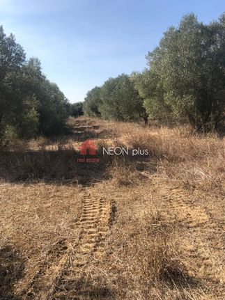 Parcel 4.004 sqm for sale, Chalkidiki, Kassandra