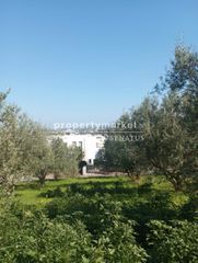 Οικόπεδο 1.000 τ.μ. για πώληση, Ν. Ρεθύμνου, Αρκάδι-thumb-2