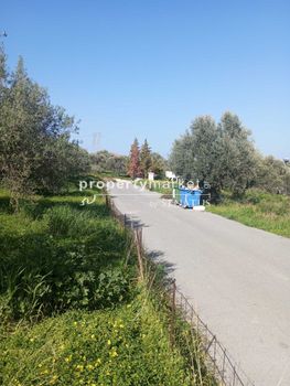 Land plot 3.000sqm for sale-Arkadi » Adele
