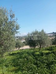 Οικόπεδο 3.000 τ.μ. για πώληση, Ν. Ρεθύμνου, Αρκάδι-thumb-4