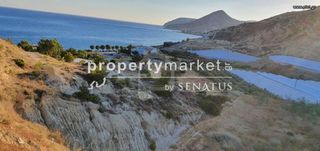Οικόπεδο 8.800 τ.μ. προς πώληση, Μύρτος Ιεράπετρας-thumb-1