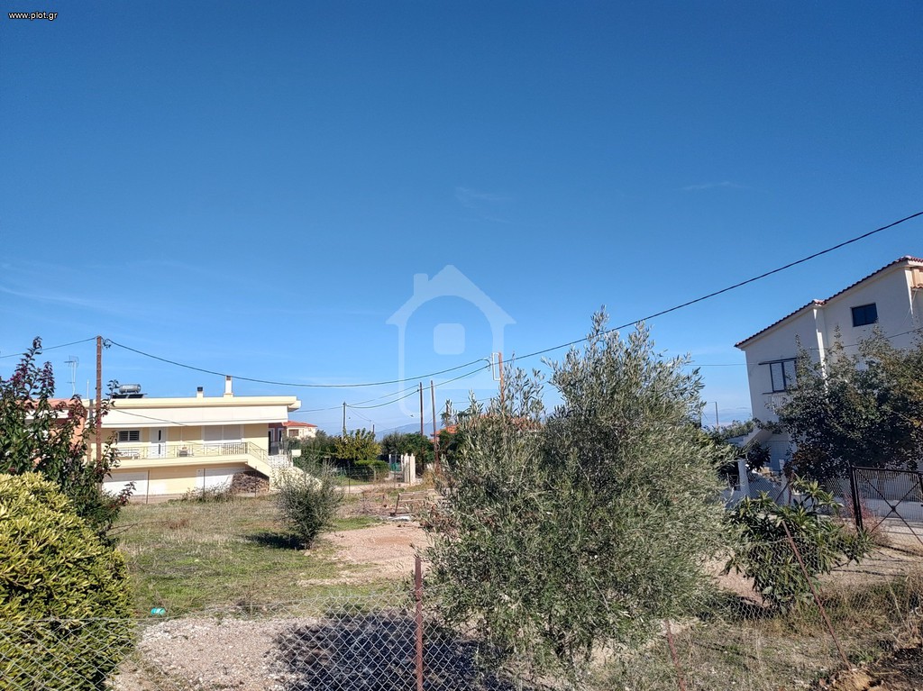 Οικόπεδο 503 τ.μ. πρός πώληση, Κορινθία, Σικυώνα