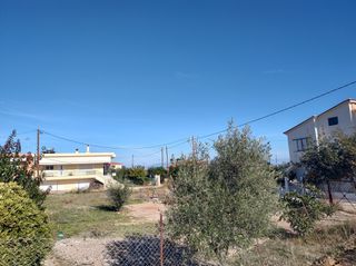 Οικόπεδο 503 τ.μ. για πώληση, Κορινθία, Σικυώνα-thumb-3