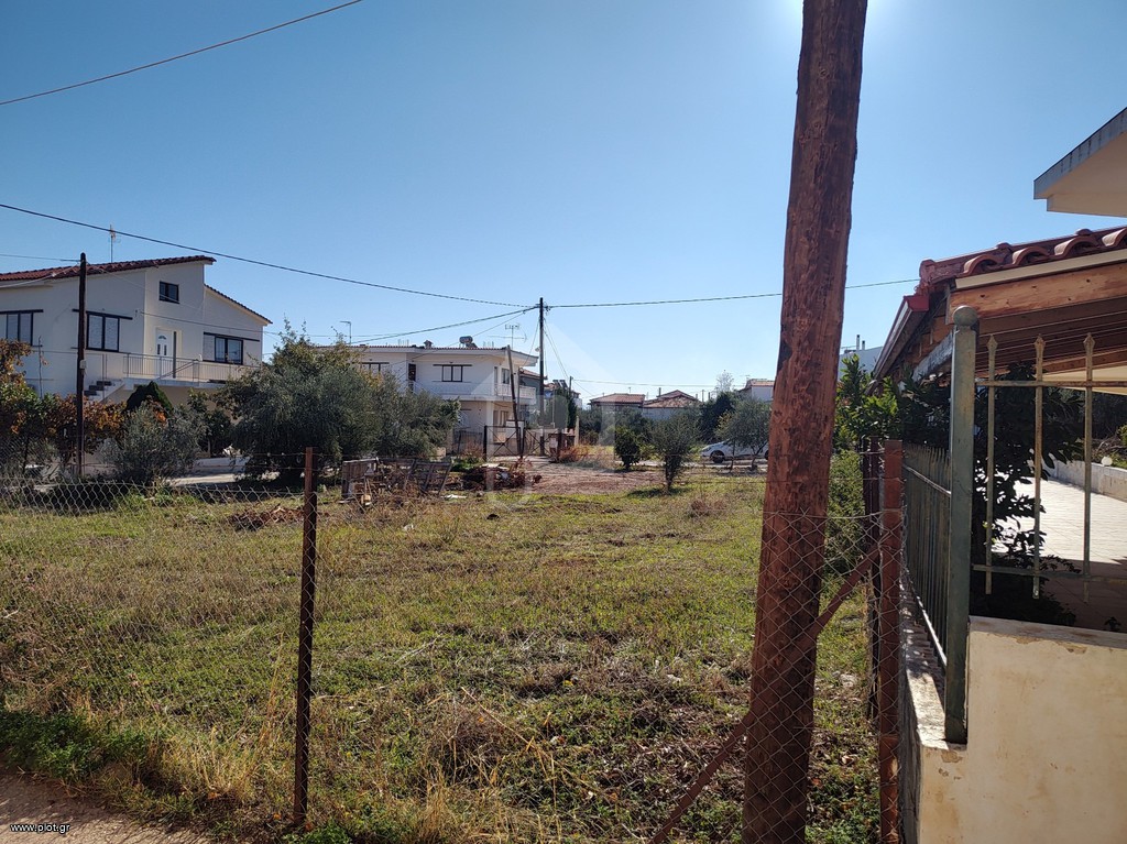 Οικόπεδο 503 τ.μ. πρός πώληση, Κορινθία, Σικυώνα