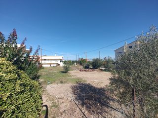 Οικόπεδο 503 τ.μ. για πώληση, Κορινθία, Σικυώνα-thumb-8