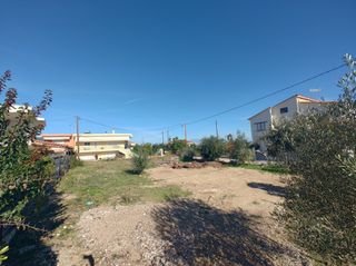 Οικόπεδο 503 τ.μ. για πώληση, Κορινθία, Σικυώνα-thumb-10