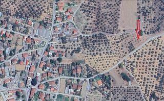 Οικόπεδο 2.500 τ.μ. για πώληση, Φθιώτιδας, Μώλος-thumb-1