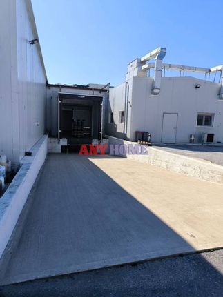Industrial space 3.016 sqm for sale, Thessaloniki - Suburbs, Echedoros