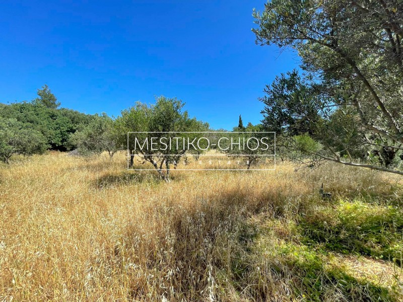 Οικόπεδο 2.808 τ.μ. προς πώληση, Πόλη Χίου