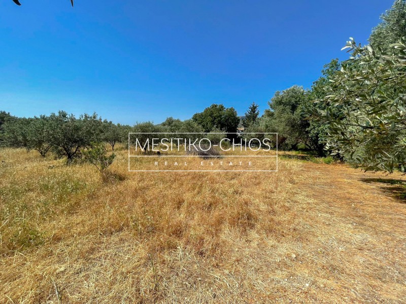 Οικόπεδο 2.808 τ.μ. προς πώληση, Πόλη Χίου