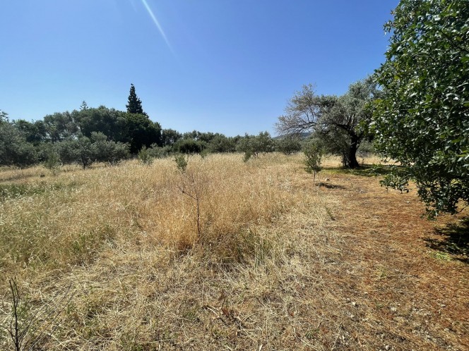 Οικόπεδο 2.808 τ.μ. προς πώληση, Πόλη Χίου