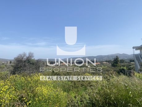 Parcel 5.175sqm for sale-Palaia Fokaia » Κέντρο