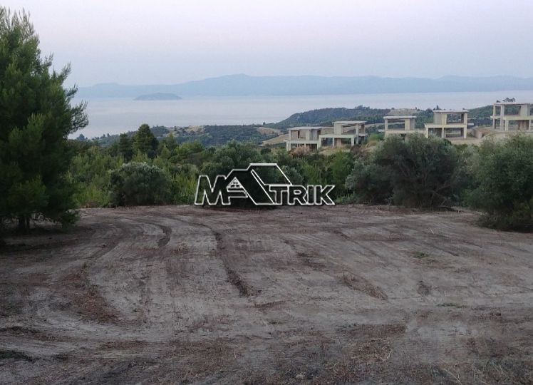 Αγροτεμάχια 4.176 τ.μ. πρός πώληση, Χαλκιδική, Κασσάνδρα