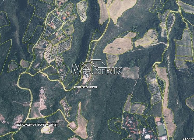 Αγροτεμάχια 4.176 τ.μ. πρός πώληση, Χαλκιδική, Κασσάνδρα