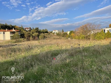 Αγροτεμάχια 2.200 τ.μ. για πώληση