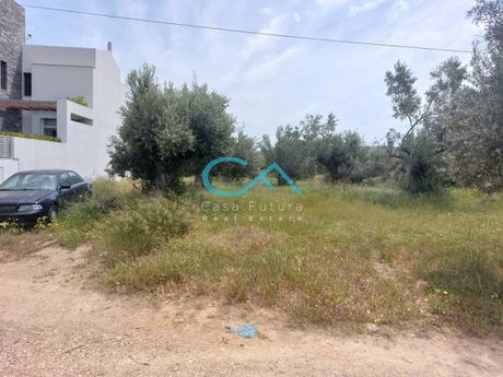 Οικόπεδο 425τ.μ. για πώληση-Παιανία » Τρίγωνο λαγού