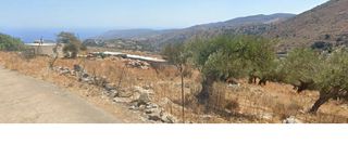 Αγροτεμάχια 12.005 τ.μ. για πώληση