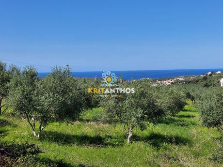 Land plot 4.620sqm for sale-Arkadi » Asteri