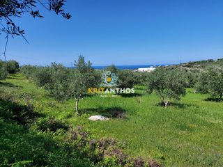 Οικόπεδο 4.620 τ.μ. για πώληση, Ν. Ρεθύμνου, Αρκάδι-thumb-2