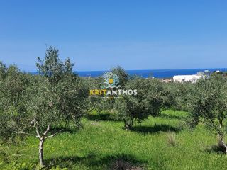 Οικόπεδο 4.620 τ.μ. για πώληση, Ν. Ρεθύμνου, Αρκάδι-thumb-3