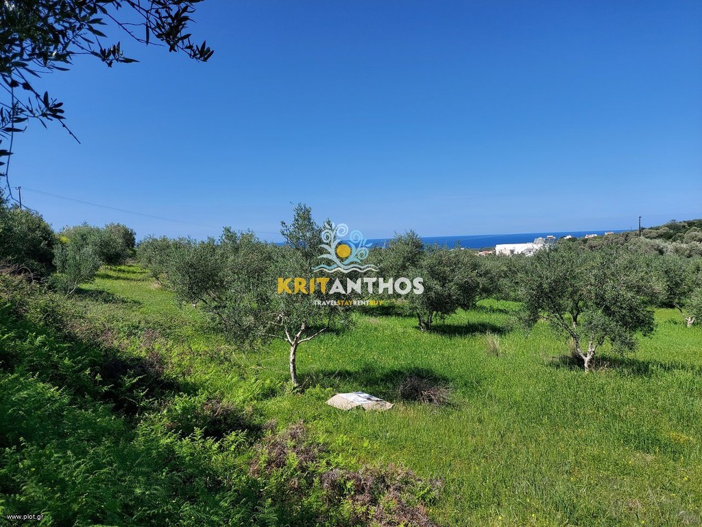 Land plot 4.620 sqm for sale, Rethymno Prefecture, Arkadi