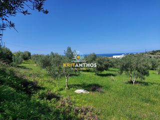 Οικόπεδο 4.620 τ.μ. για πώληση, Ν. Ρεθύμνου, Αρκάδι-thumb-4