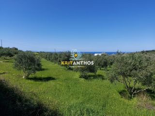 Οικόπεδο 4.620 τ.μ. για πώληση, Ν. Ρεθύμνου, Αρκάδι-thumb-5