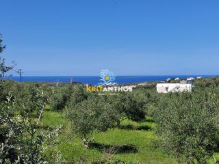 Οικόπεδο 4.620 τ.μ. για πώληση, Ν. Ρεθύμνου, Αρκάδι-thumb-6