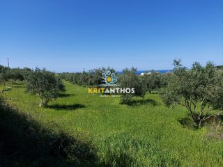 Οικόπεδο 4.620 τ.μ. για πώληση, Ν. Ρεθύμνου, Αρκάδι-thumb-7