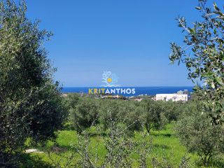Οικόπεδο 4.620 τ.μ. για πώληση, Ν. Ρεθύμνου, Αρκάδι-thumb-9