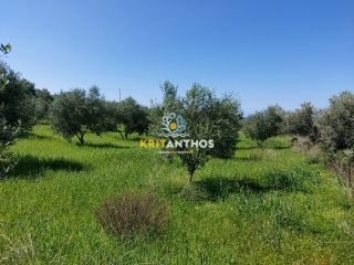 Οικόπεδο 4.620 τ.μ. για πώληση, Ν. Ρεθύμνου, Αρκάδι-thumb-10