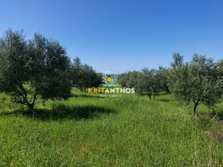 Οικόπεδο 4.620 τ.μ. για πώληση, Ν. Ρεθύμνου, Αρκάδι-thumb-11