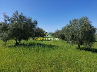 Οικόπεδο 4.620 τ.μ. για πώληση, Ν. Ρεθύμνου, Αρκάδι-thumb-12